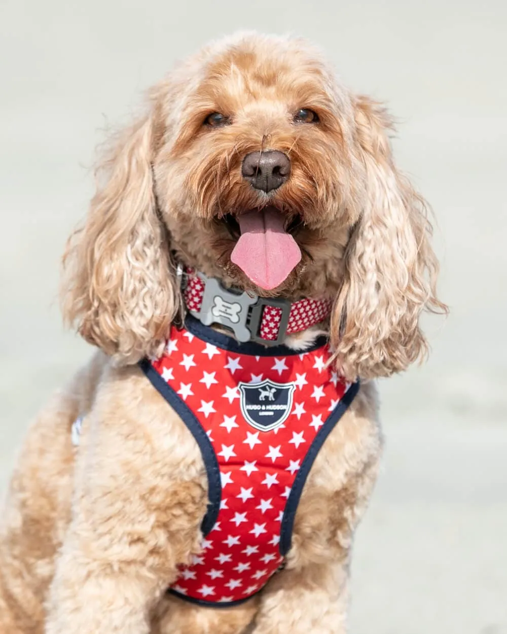 Fabric Dog Harness - Red Star