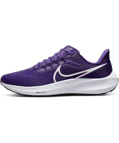 Nike Air Zoom Pegasus 39 TB 'Court Purple'