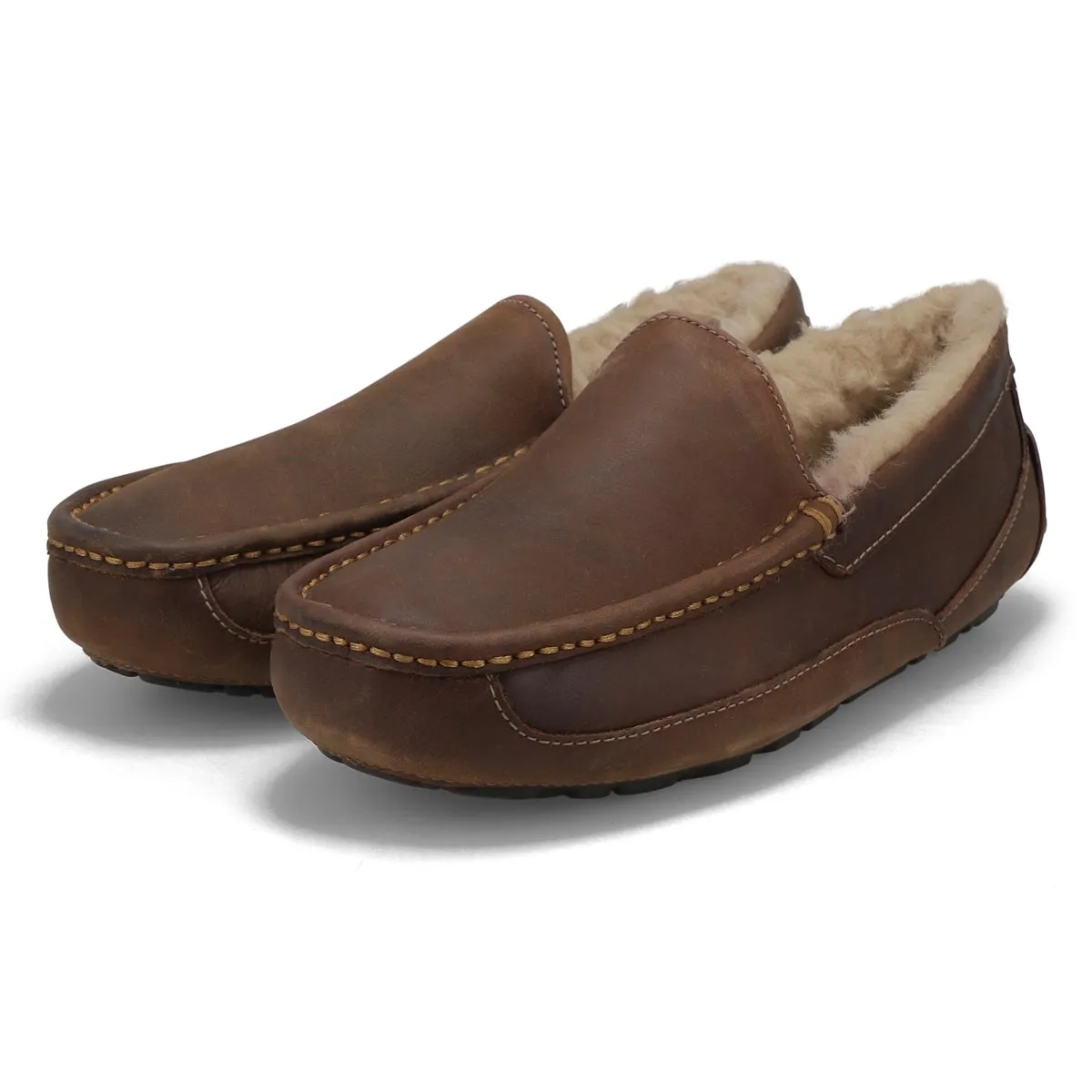 UGG  Ascot Men