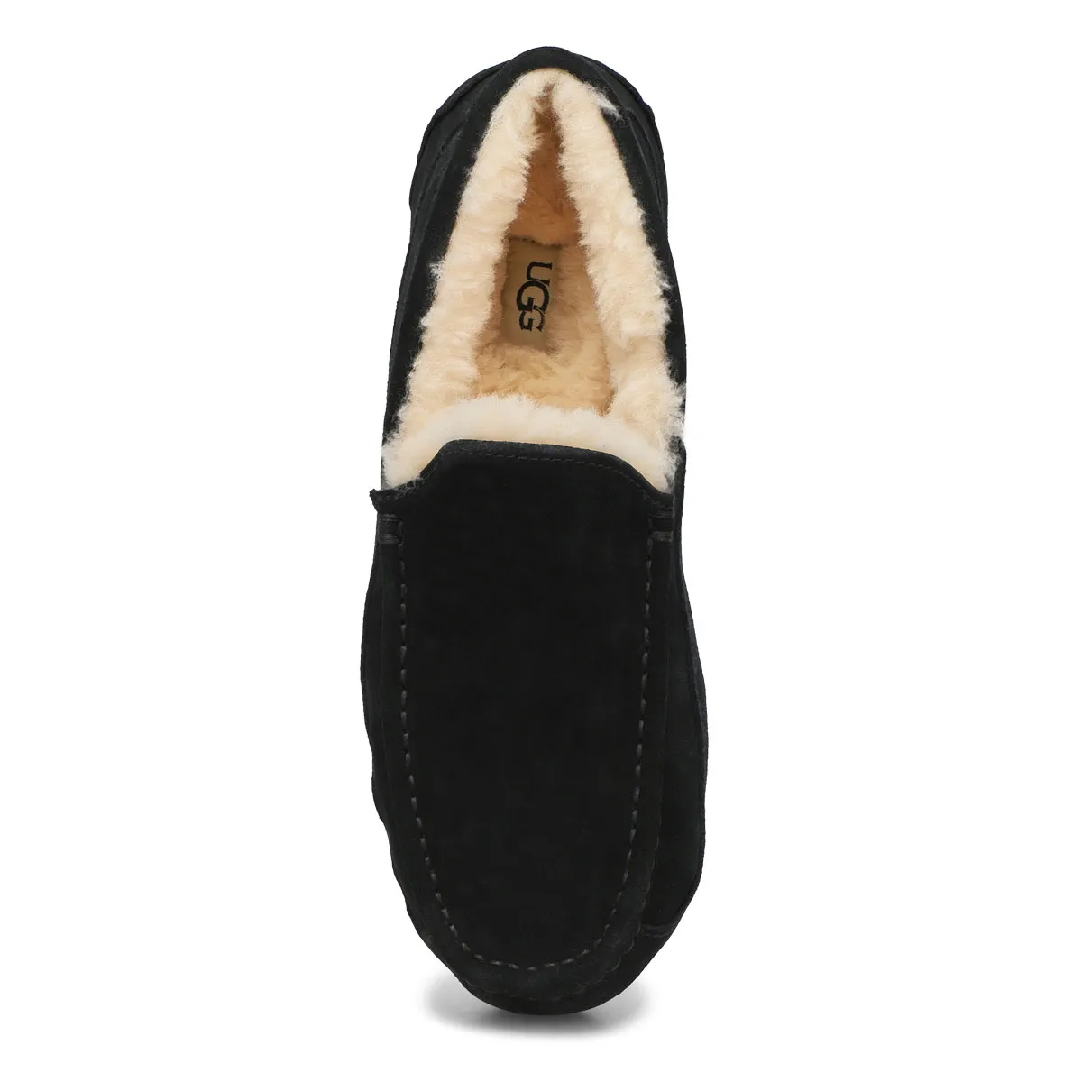 UGG  Ascot Men