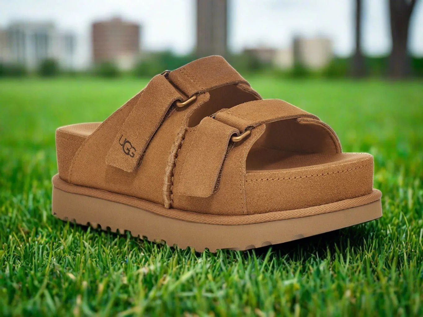 UGG Women's Goldenstar Hi Slide